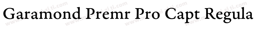 Garamond Premr Pro Capt Regular字体转换